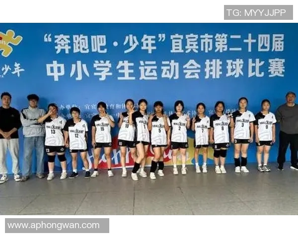 排球巨献揭秘武汉排球队如何实现卓越团队协作与默契配合