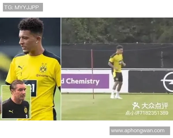 深圳羽毛球队在英超全国锦标赛中的耐力表现分析与点评