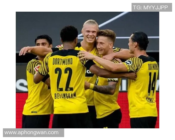 成都羽毛球队速度与欧冠足球的深度对比分析与启示