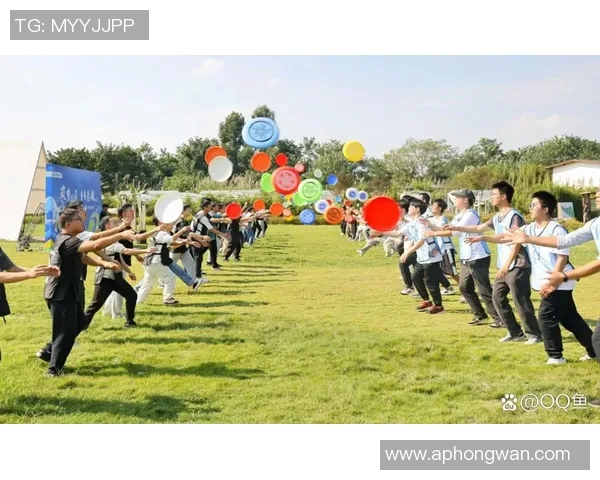 杭州飞盘队领跑运动最新飞盘状态TOP10展现竞技魅力与团队精神