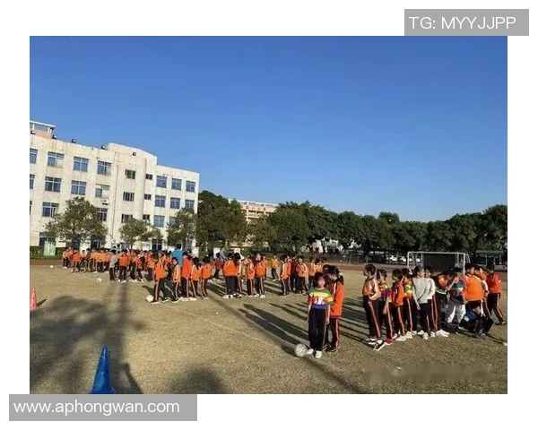 运动员陈敏专访回顾攀岩历程与体育精神的融合与成长