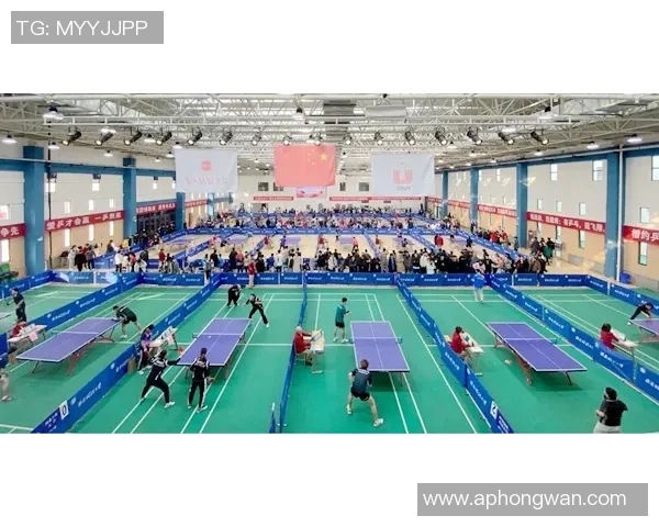 聚焦西安乒乓球队实力提升与发展潜力的深度分析与探讨 聚焦西安乒乓球队实力提升与发展潜力的深度分析与探讨