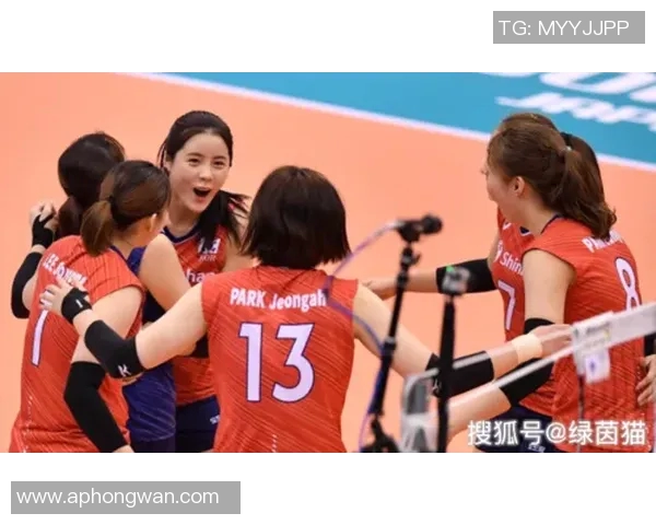 深圳排球队以99分领跑世界杯积分榜展现强大实力与团队合作精神