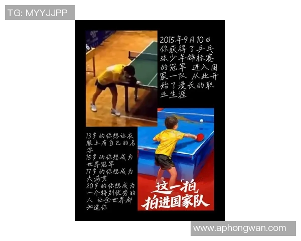 陈静畅谈网球生涯与欧冠足球的精彩交汇与人生启示