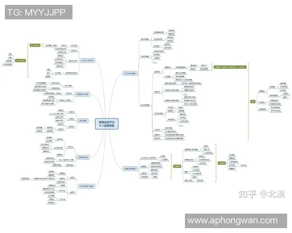 实时新闻深圳极限运动队的运营策略与市场拓展深度分析