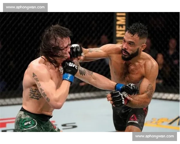UFC重磅对决:锤子迎战桑托斯,力量与技巧的极限较量揭秘 UFC重磅对决:锤子迎战桑托斯,力量与技巧的极限较量揭秘